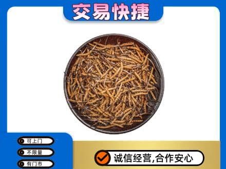 宜春礼品回收虫草.jpg